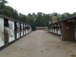 Binnenplaats 2008